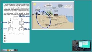 Ciclo do nitrogênio - Ciclos biogeoquímicos
