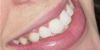 Odontologia