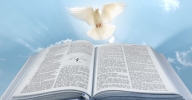 Curso do Novo Testamento