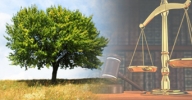 Curso de Direito Ambiental