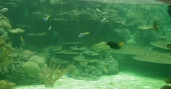 Curso de Ecoturismo