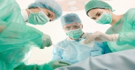 Curso de Insemina��o Artificial em Animais
