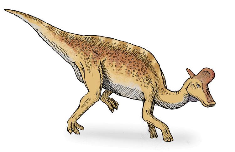 Lambeossaurus