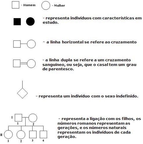 Mendelismo genetica