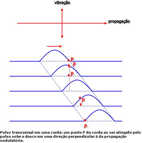 external image 20896.jpg