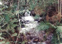 Cercadinho