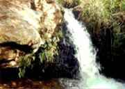 Rola Mo�a
