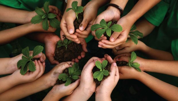 Importância do Meio Ambiente nos negócios 