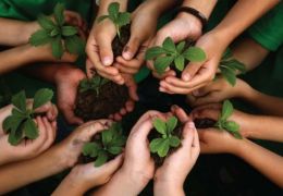 Importância do Meio Ambiente nos negócios 