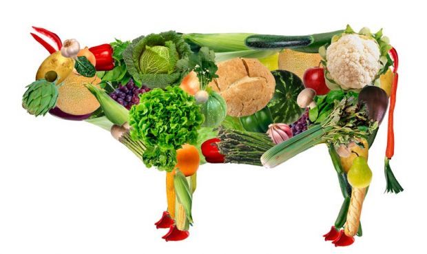 Vantagens da Alimentação Vegetariana