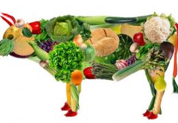 Vantagens da Alimentação Vegetariana