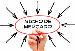 O que são nichos de mercado?