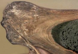 Estiagem e a seca nas represas brasileiras