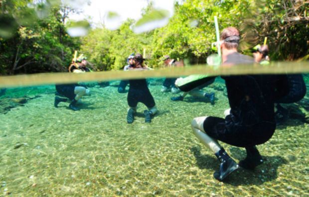 Melhores lugares para Ecoturismo