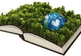 Ecologia: tudo que você precisa saber