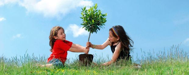 Por que as empresas devem utilizar boas práticas de sustentabilidade?