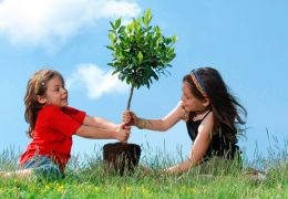 Por que as empresas devem utilizar boas práticas de sustentabilidade?