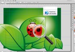 Dicas para tirar o máximo Illustrator CS5 