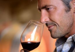 Por que degustar vinhos é uma arte?