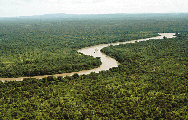 Importância do Meio Ambiente nos negócios 