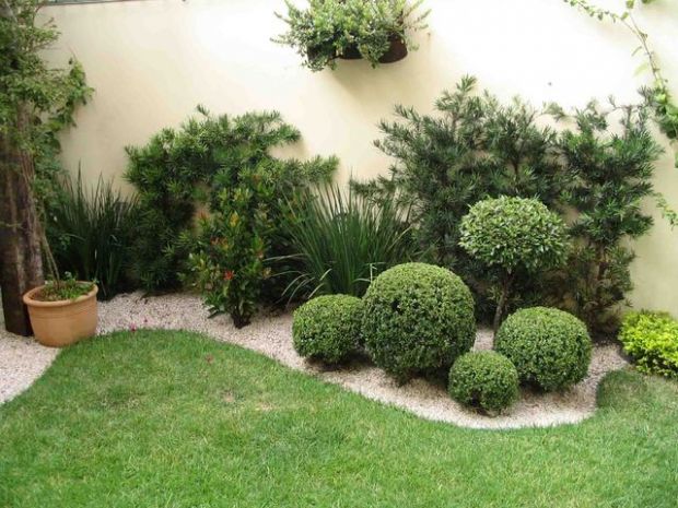 Dicas para arrasar na jardinagem