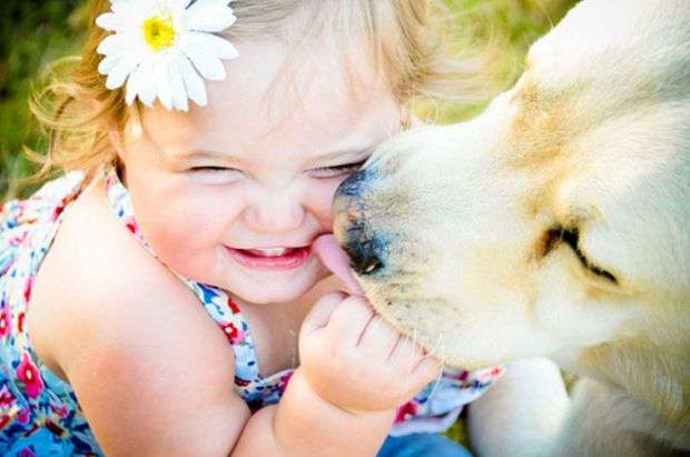 3 maneiras de dar mais amor ao seu pet