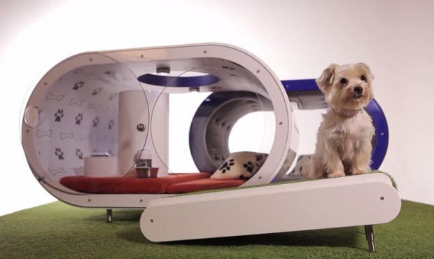 Samsung inova com Dream Doghouse