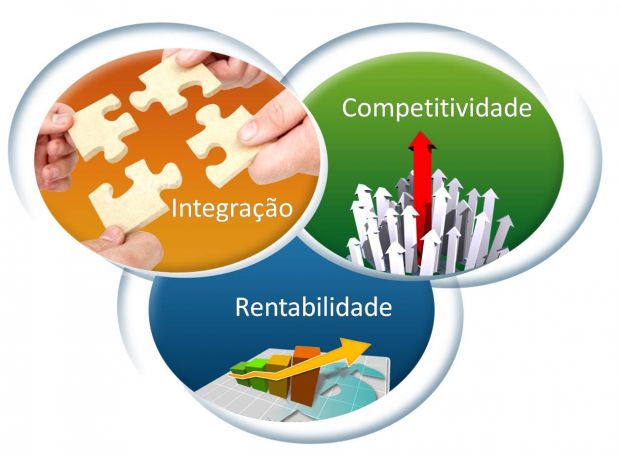 Diferença entre gestão pública e gestão privada