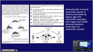 Cadeias alimentares - Ecologia