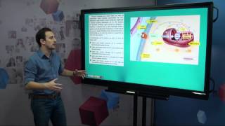 Processos de produção de energia (metabolismo) - Bioquímica