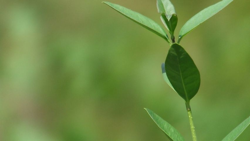 Curso de Auditoria Ambiental