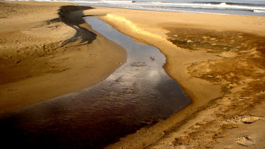  Gestão Ambiental e Recursos Hídricos