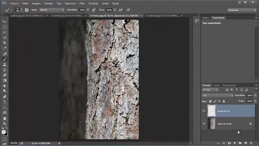 Curso de Photoshop CC: Profundidade de Cores e Camera Raw