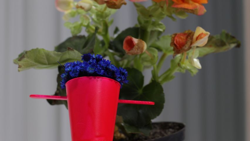Curso de Transformando Lixo em Luxo: Balão de Lâmpada e Horta Hidropônica