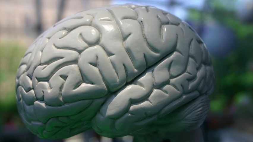 认知 - 行为疗法课程