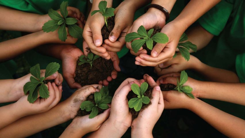 Curso de Licenciamento Ambiental na Prática