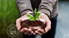 Curso de Agropecuária: Gestão Eficiente e Sustentável