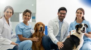 1 º MODULO INTRODUÇÃO AUXILIAR DE VETERINÁRIO