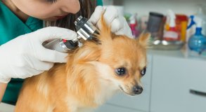MATERIAIS USO CLINICO