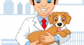 MODULO CONTENÇÃO DE CÃES E GATOS
