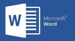  Microsoft Word