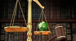 Environmental Law Course