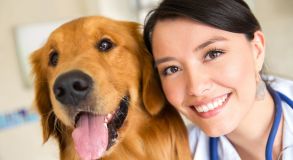 Curso de Bem-Estar Animal: Humanização