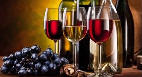 Curso de Introdução ao Estudo de Vinhos