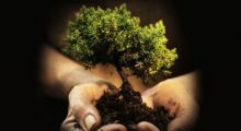 Curso de Práticas de Sustentabilidade 