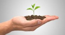 Ilustração - Curso de ISO 14001
