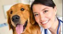 Melhores Cursos Online EAD com Certificado reconhecido Curso de Bem-Estar Animal: Humanização